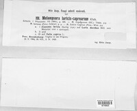 Image Associated With the Occurence